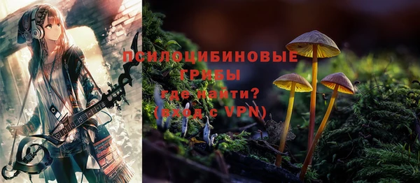 эйфоретик Пролетарск