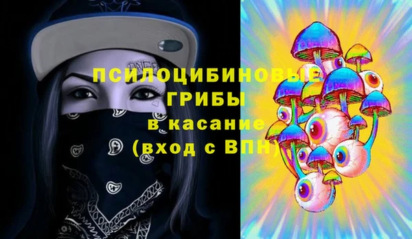 ECSTASY Горняк