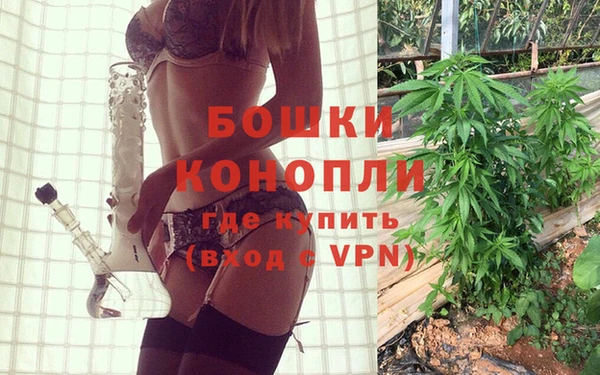 ALPHA PVP Ростов