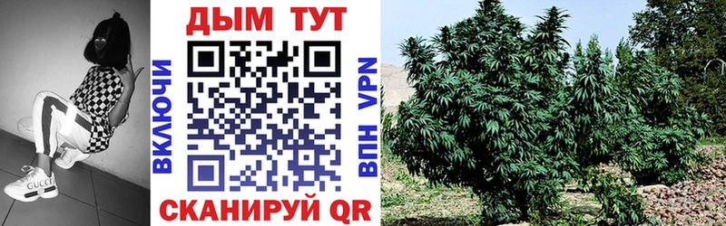 площадка формула  Буинск  Конопля индика 